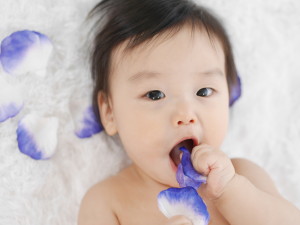 P1190564 のコピー