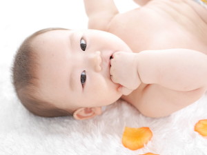 P1250780 のコピー