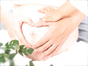 P1380501 4 のコピー