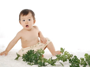 P1400255 のコピー