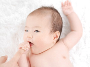 P1430363 のコピー